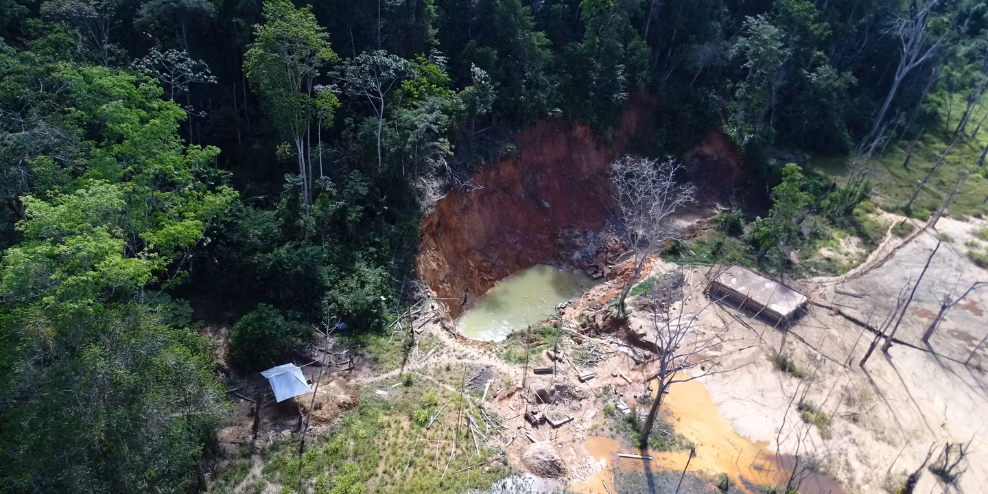 Pérou : l’or illégal qui ravage la forêt et fait taire les voix