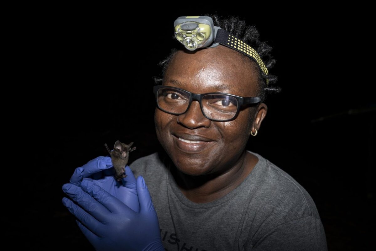 Prix Goldman 2026 : Iroro Tanshi, l'écologue nigériane qui protège les chauves-souris et les forêts