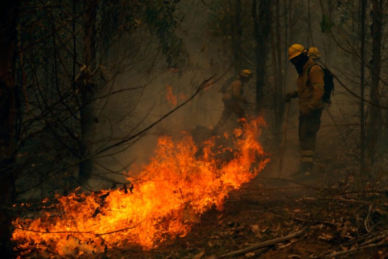 Espagne : un incendie géant ravage 26 000 hectares avant une nouvelle vague de chaleur