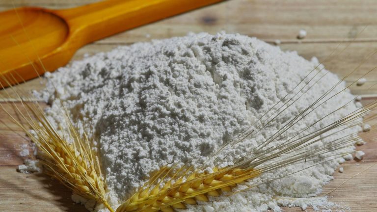 Burkina Faso : les importations de farine suspendues pour soutenir la production agricole nationale
